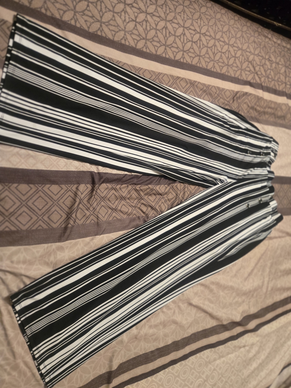 Large - Women's Dressy Pants